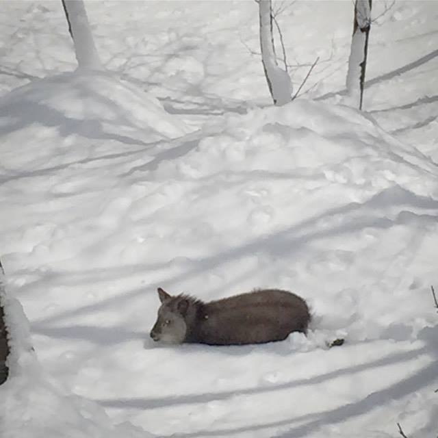 17555327_1326428964102717_780054998_n (640x640) (2)