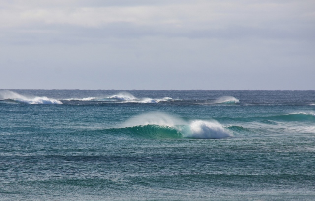 IMG_0615 (640x408)
