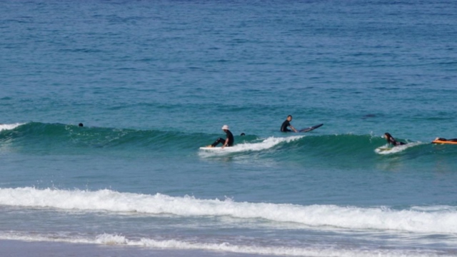 34625162_1782845218461087_484909272371560448_n (640x360)